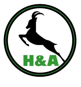 Final logo H&A